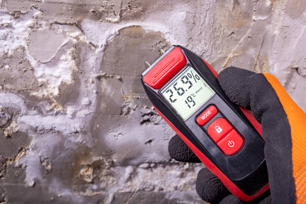 Best Attic Mold Remediation in Merriam Woods, MO