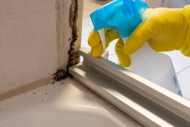 Best Residential Mold Remediation in Merriam Woods, MO